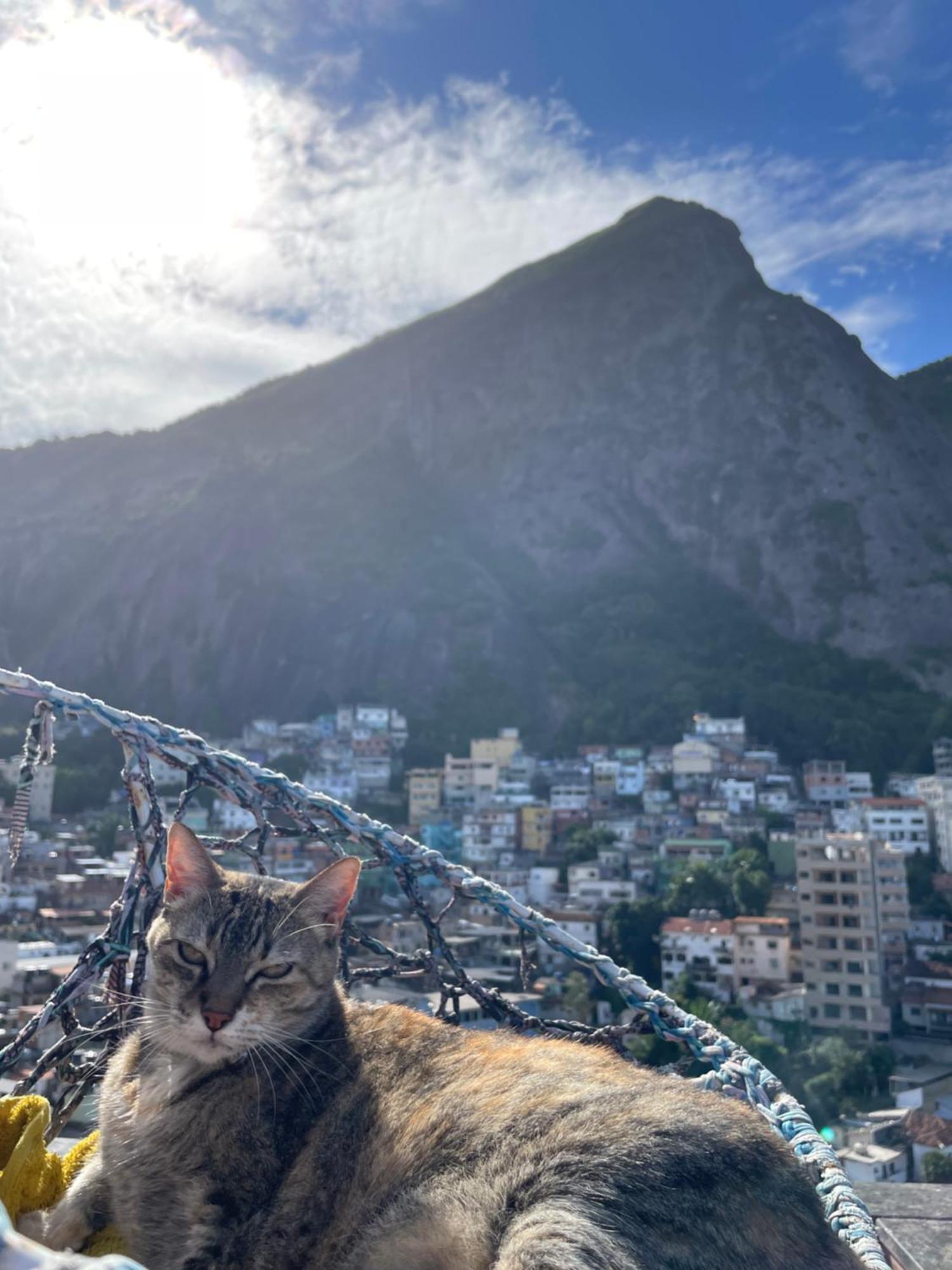 Bella Vista Vidigal *