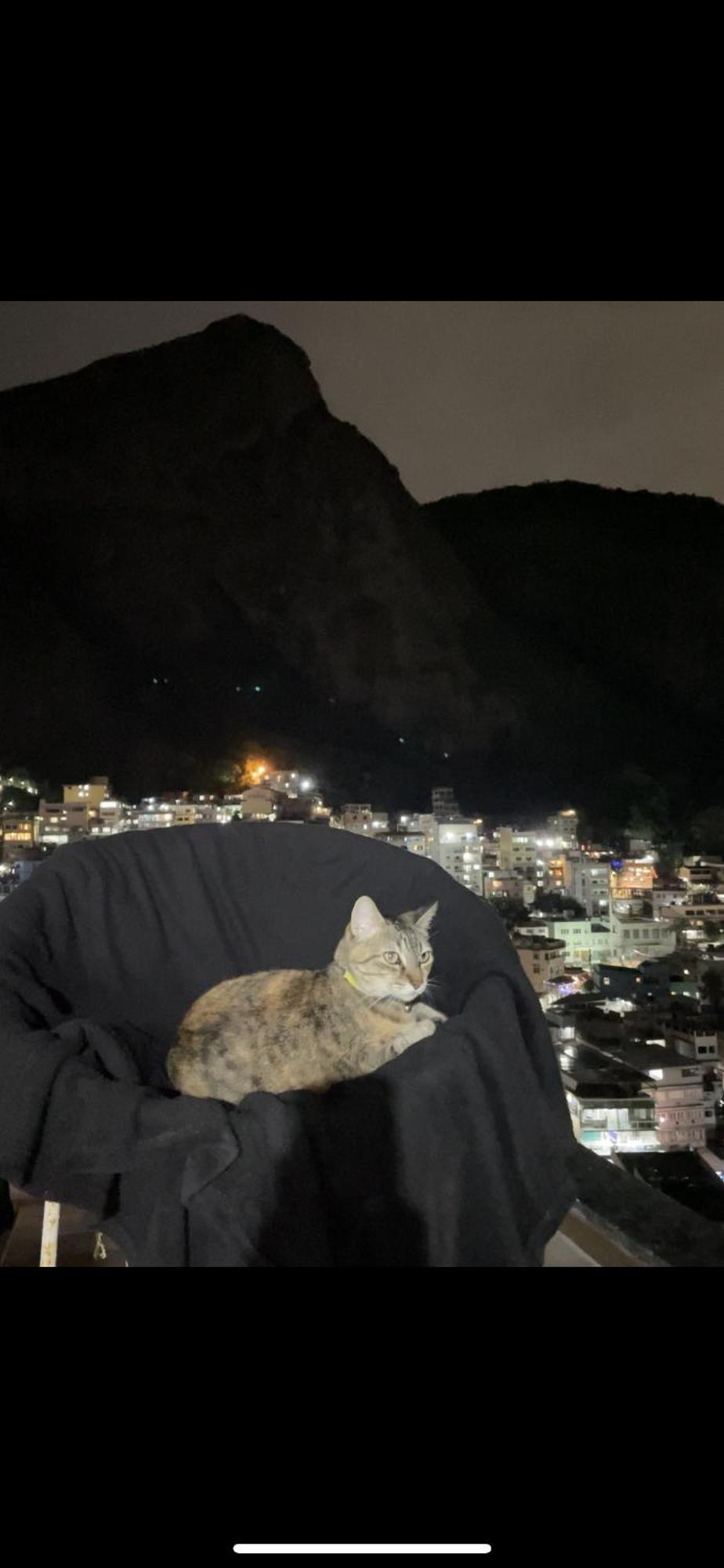 Bella Vista Vidigal Hostel *