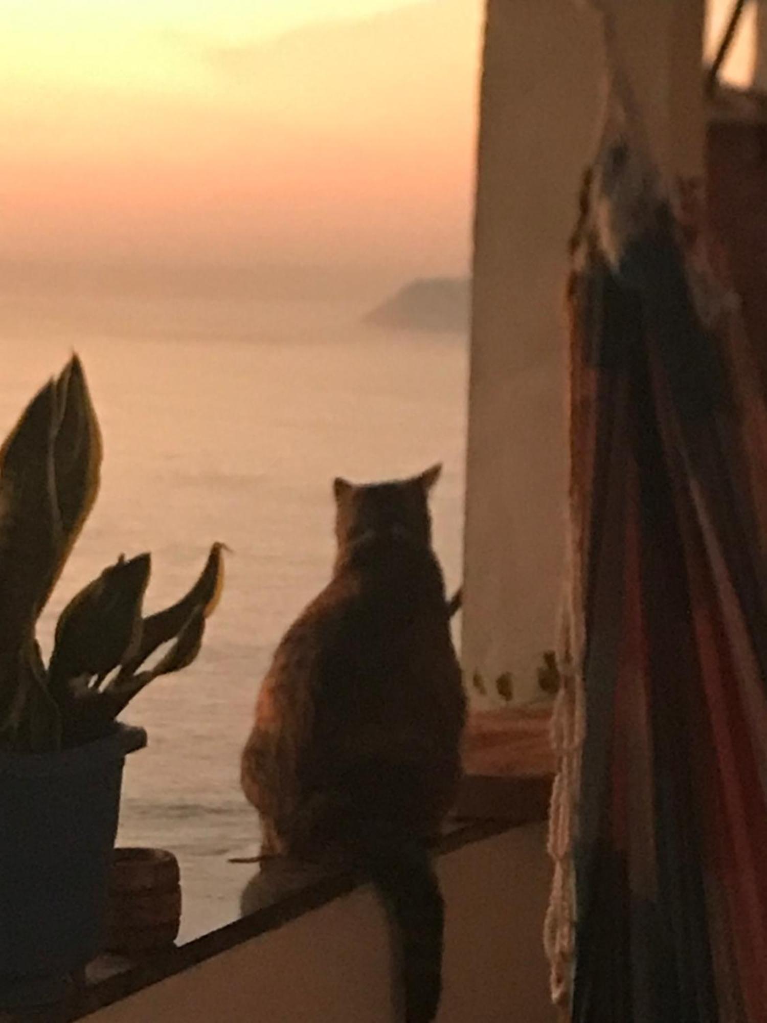 Hostel Bella Vista Vidigal *